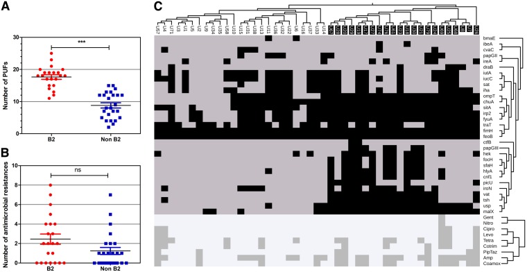 FIG 7