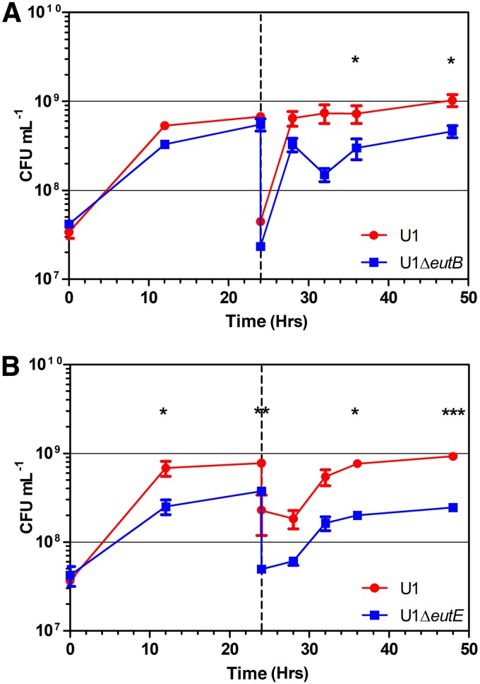 FIG 5