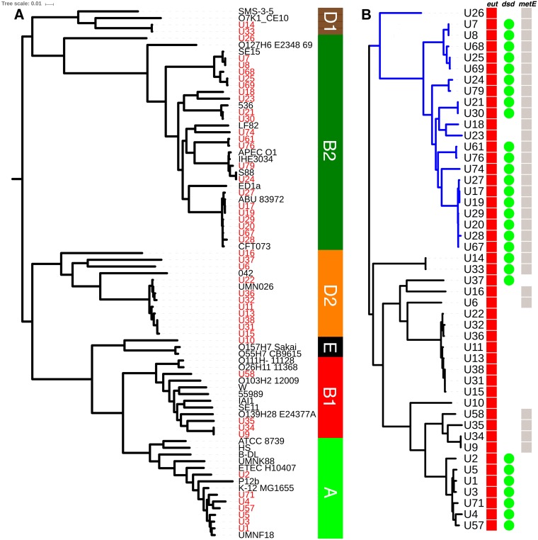 FIG 6