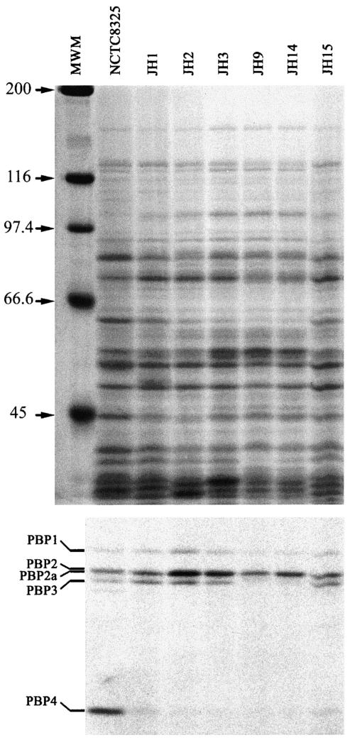 FIG. 10.