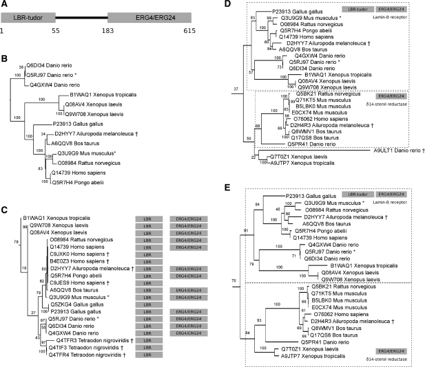 Figure 2: