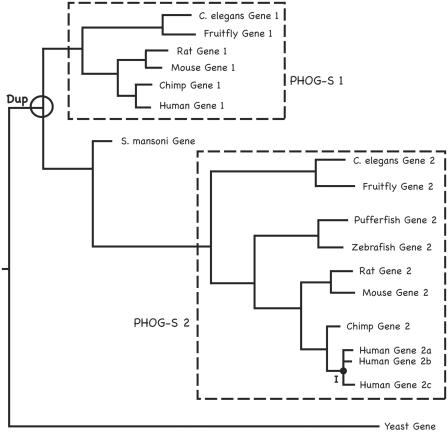 Figure 1: