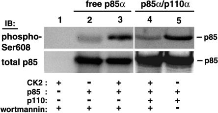 FIG. 8.