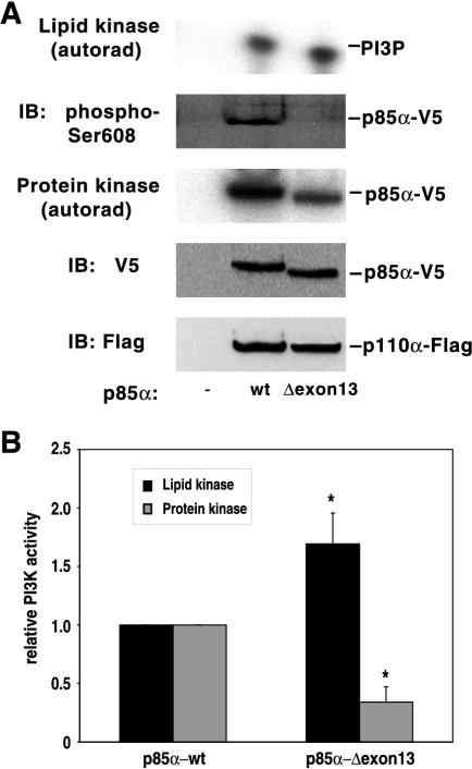 FIG. 10.