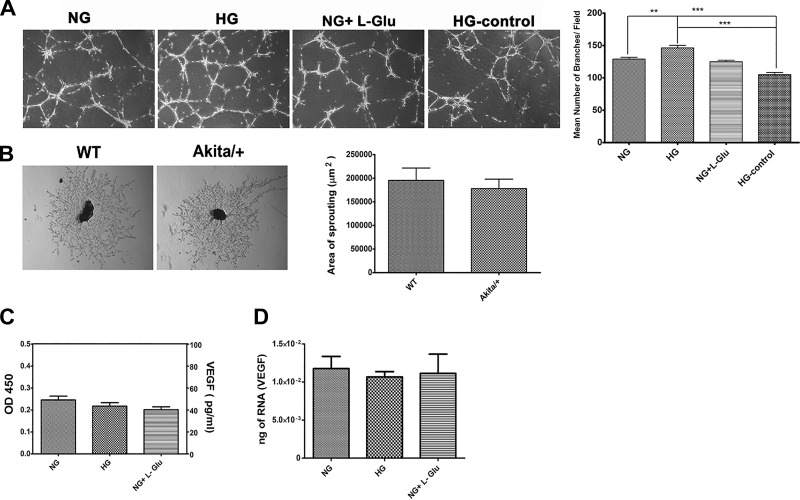 Fig. 12.