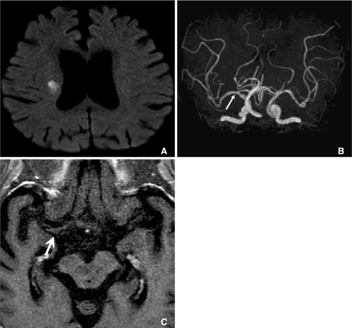 Fig. 7