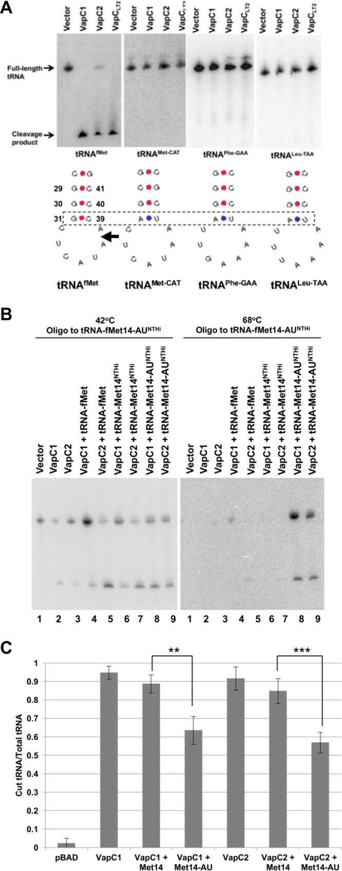 FIG 6