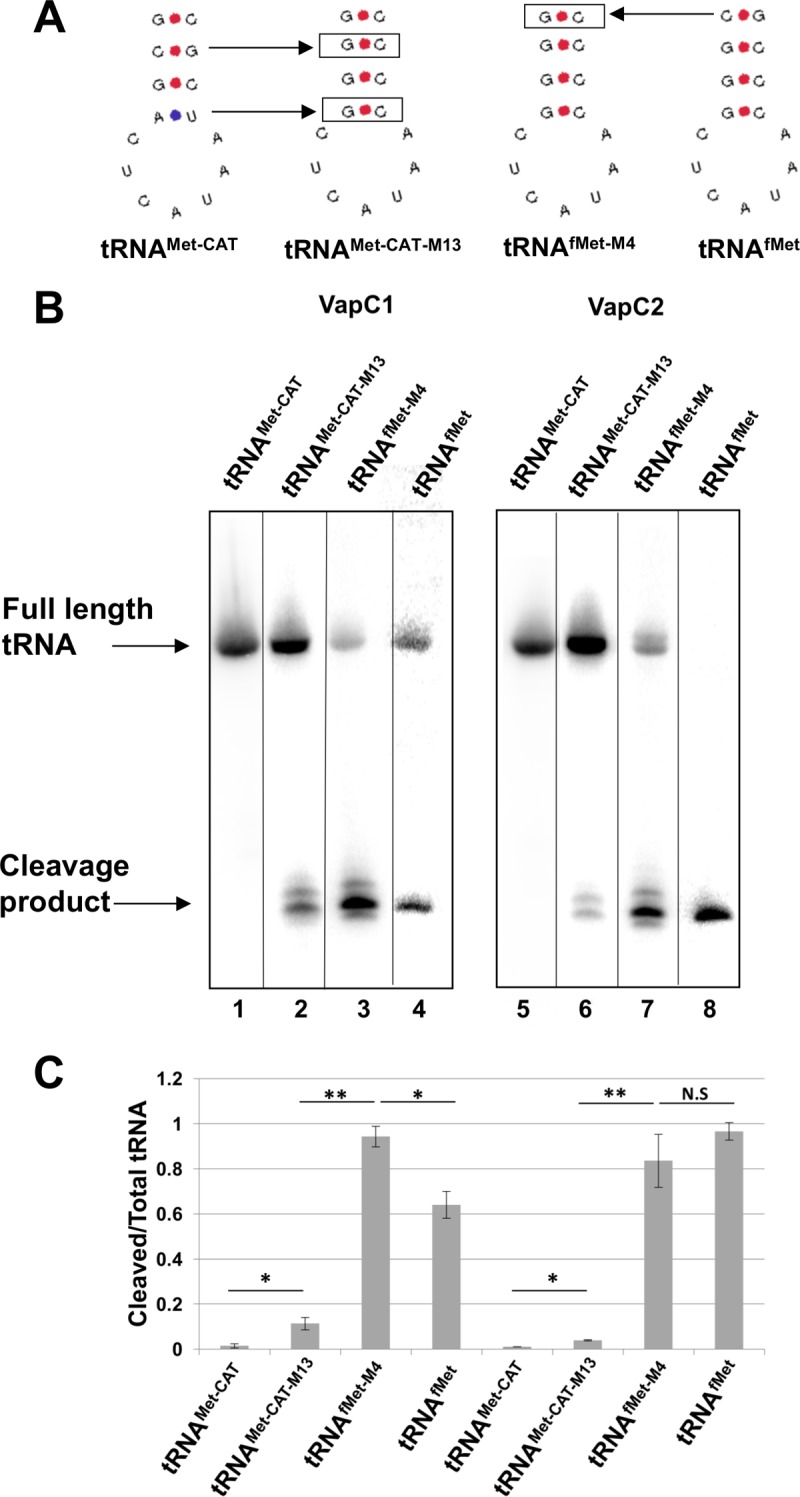 FIG 7