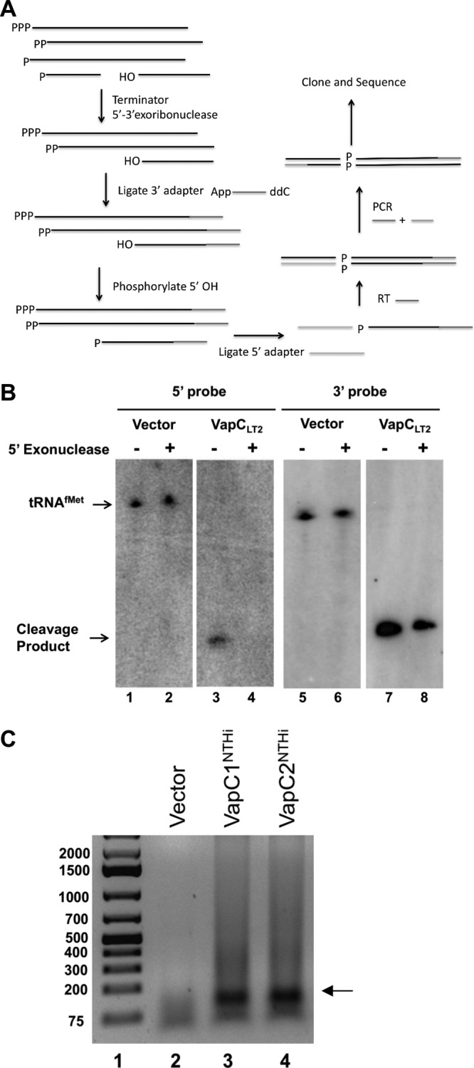 FIG 2