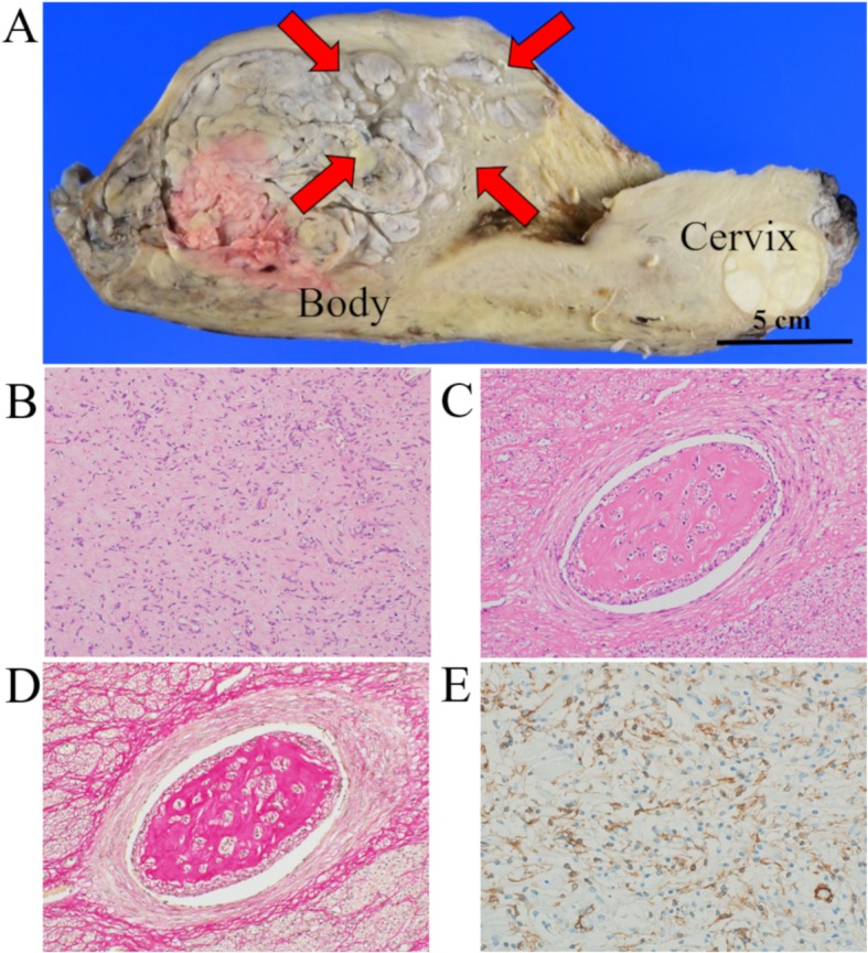 Fig. 3