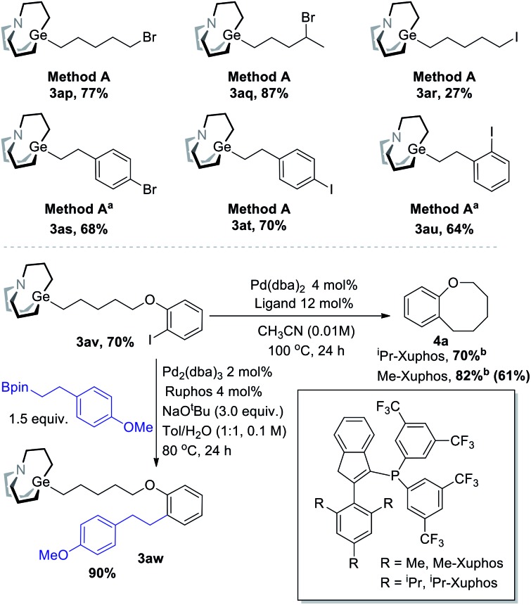 Scheme 6