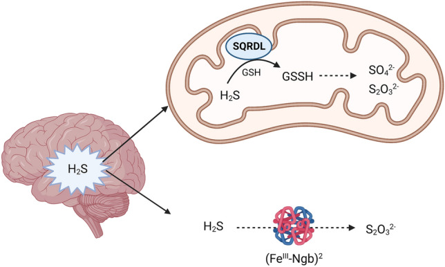 Fig. 2