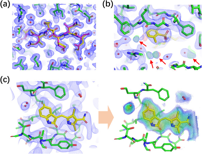 Fig. 1