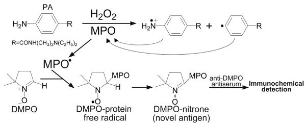 Scheme 2