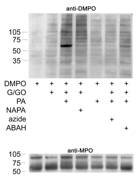 Figure 6A