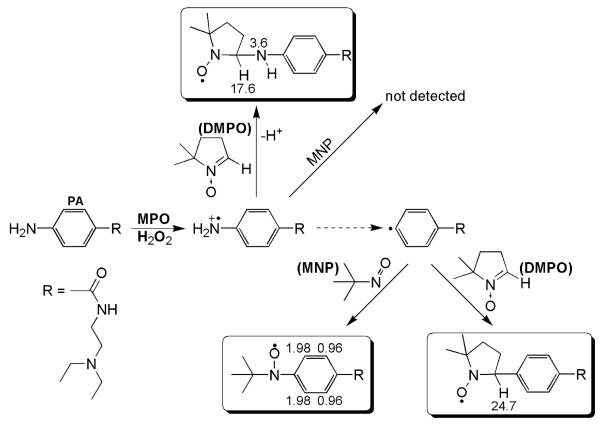 Scheme 1