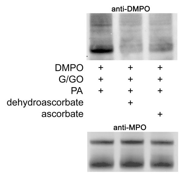 Figure 6B