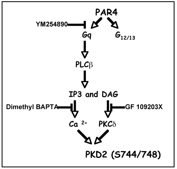 Fig 8