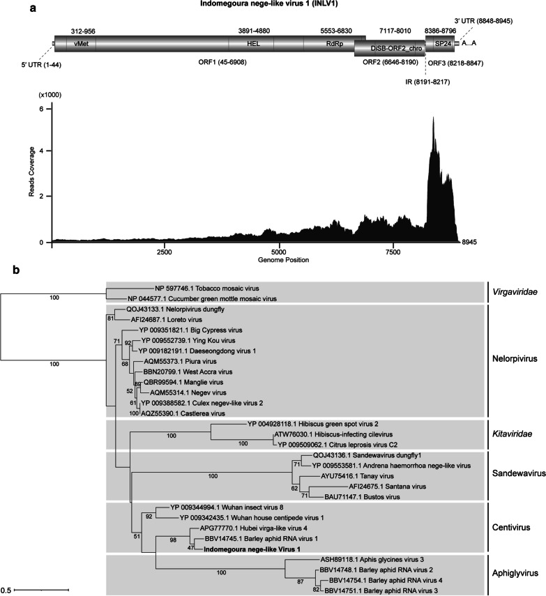 Fig. 1