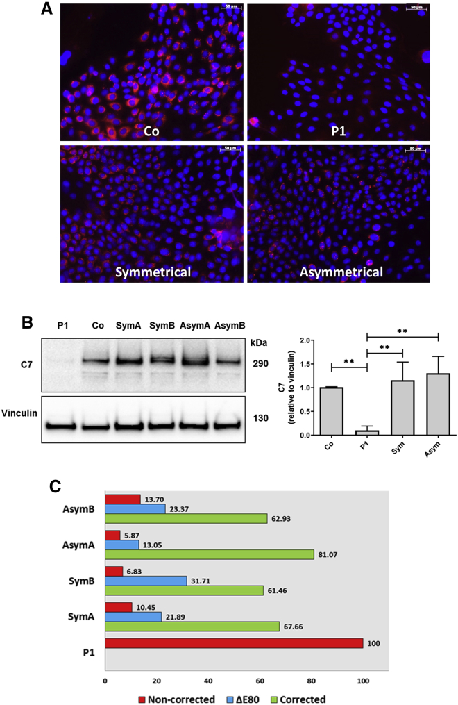 Figure 3