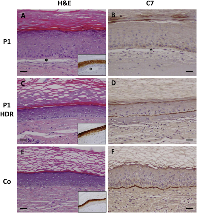 Figure 4