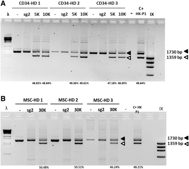 Figure 6