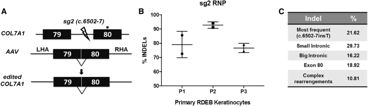 Figure 1