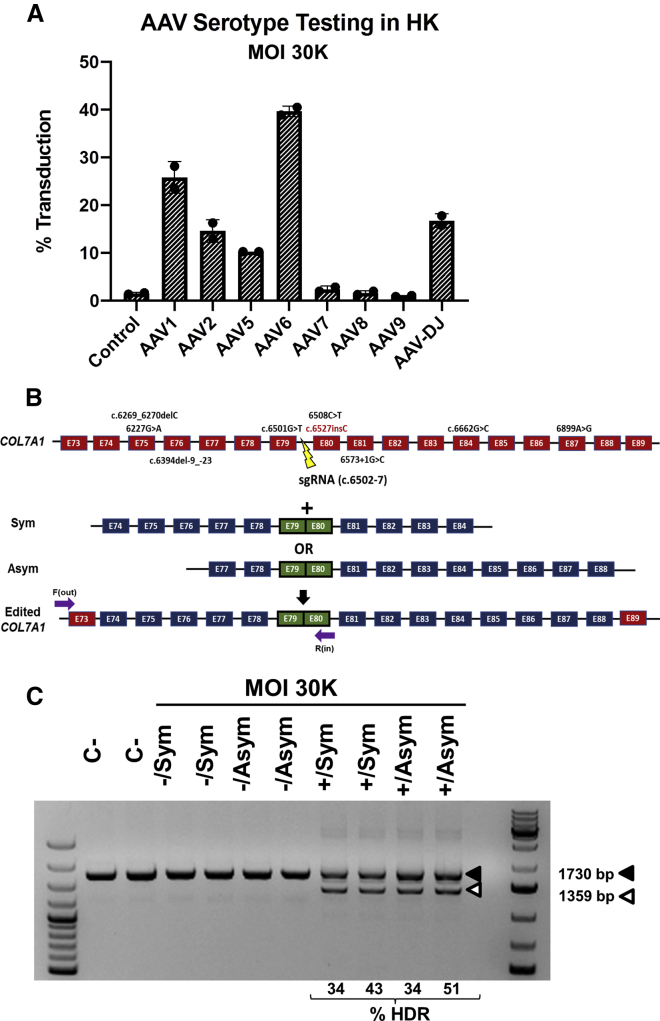 Figure 2