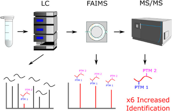 graphic file with name pr1c00721_0007.jpg