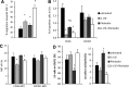 <b>FIG. 2.</b>