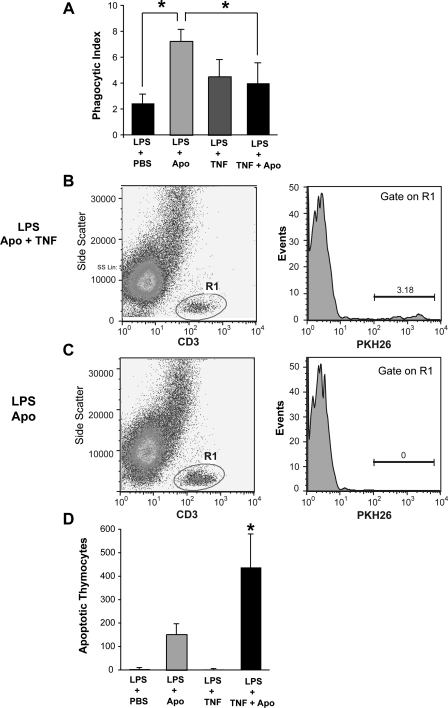 Fig. 8.