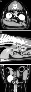 FIGURE 3