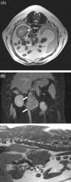 FIGURE 4