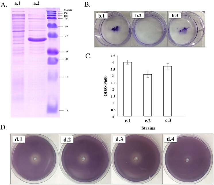 Fig 4