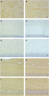 <b>FIG. 6.</b>