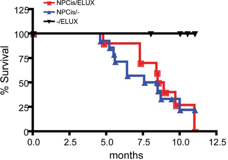 FIGURE 2.—