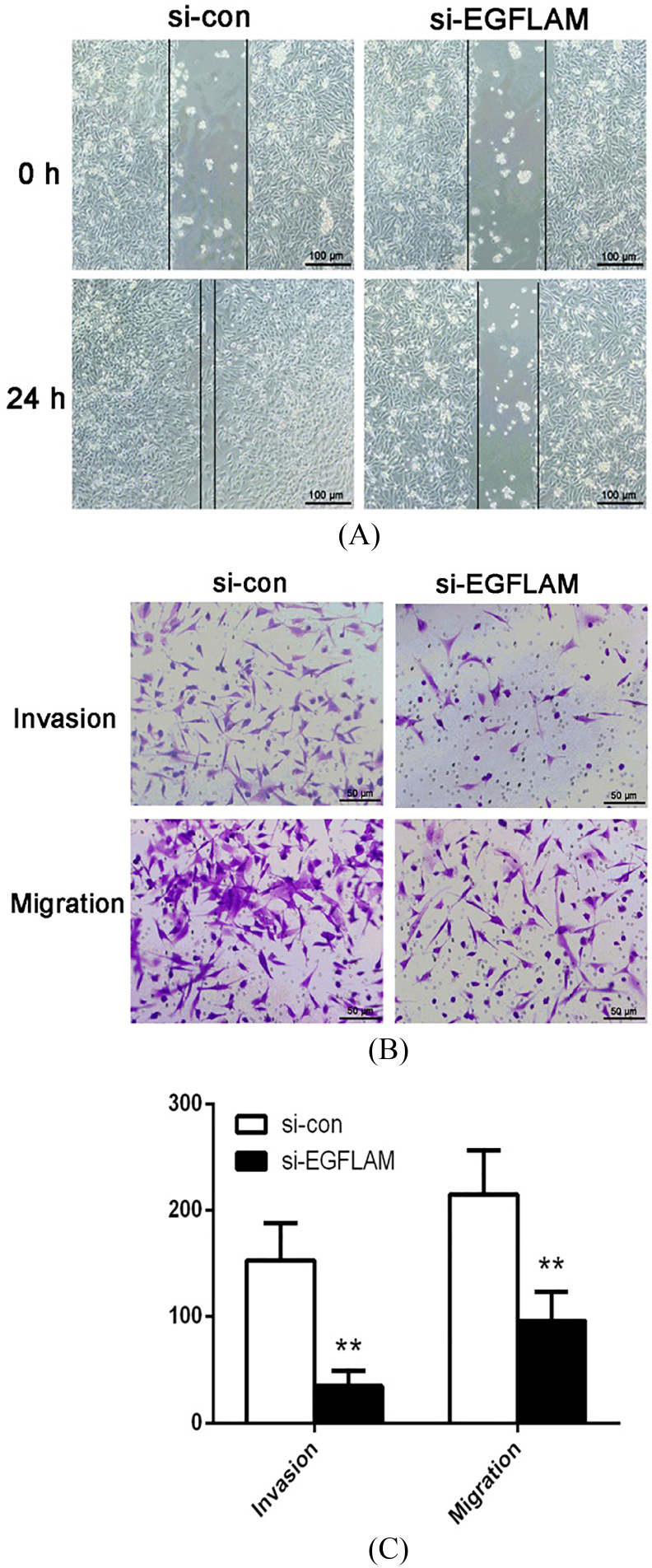 Figure 4.