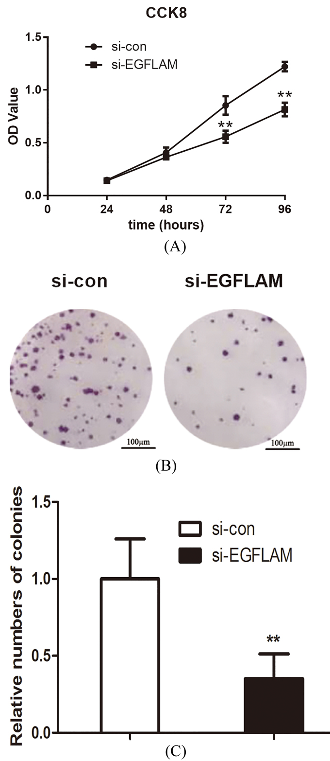 Figure 3.