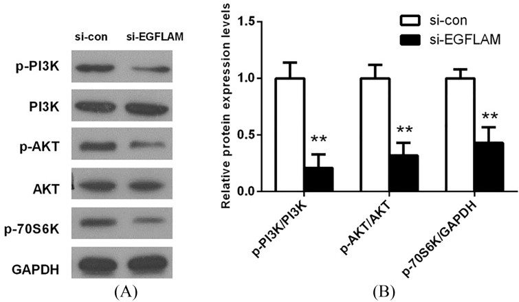 Figure 5.