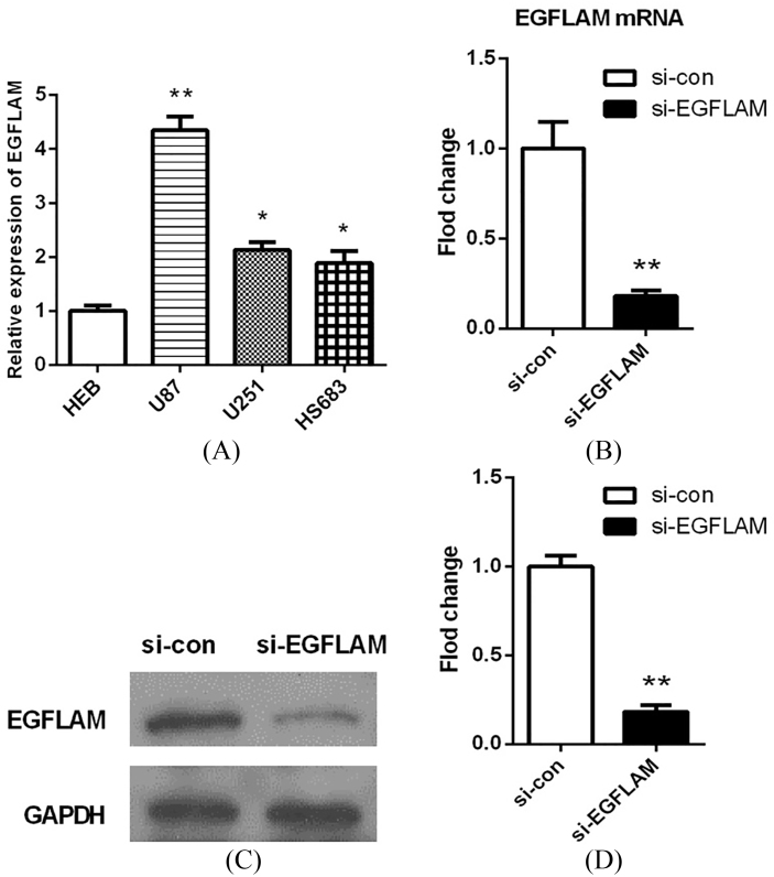 Figure 2.