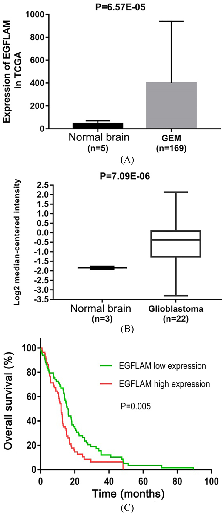 Figure 1.