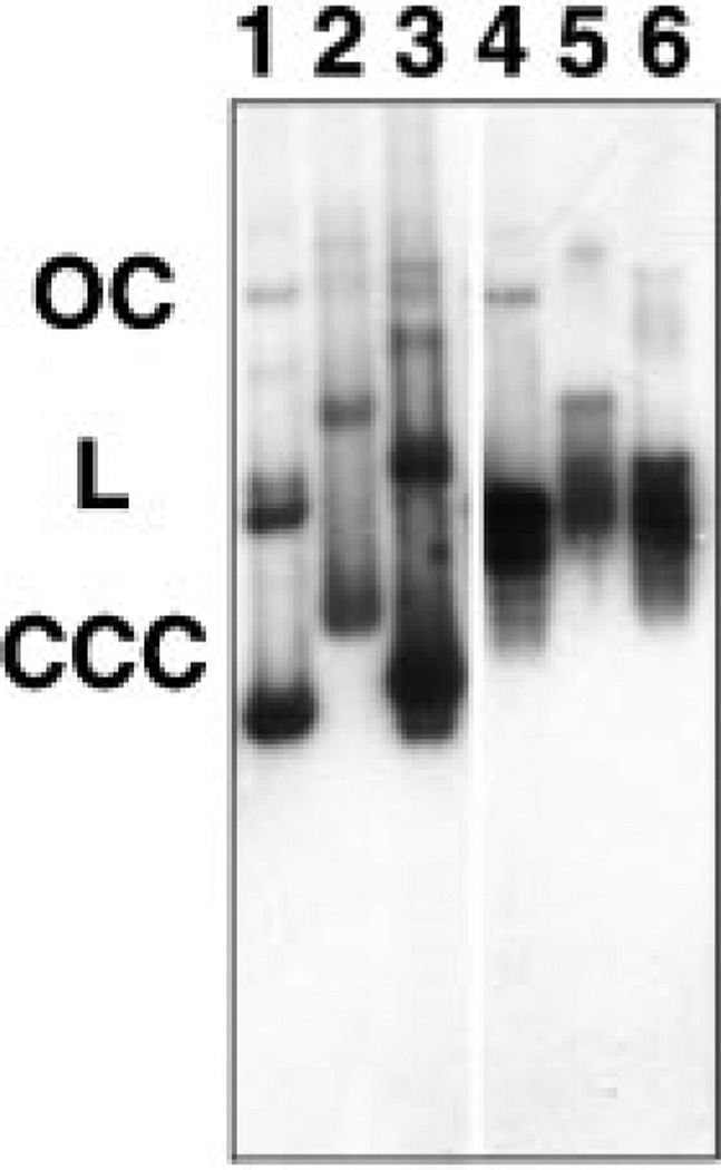 Fig. 11