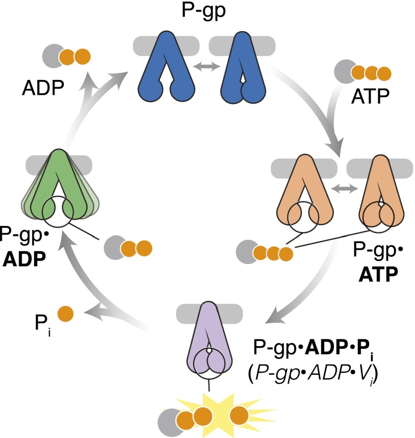 Fig. 4.