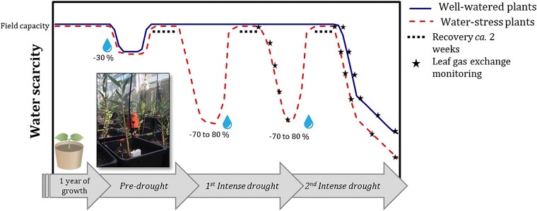 Graphical Abstract