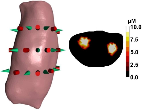 Fig. 3