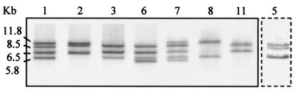 FIG. 2.