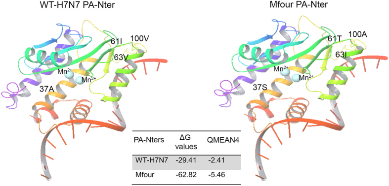 Figure 6