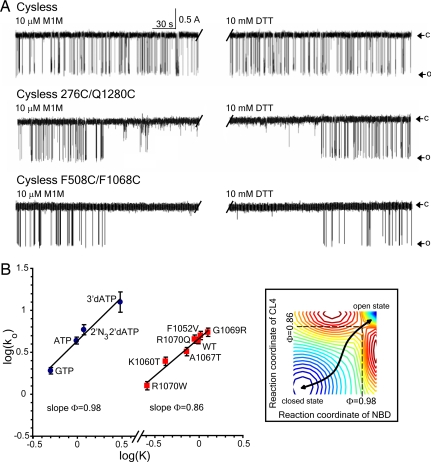 Fig. 4.