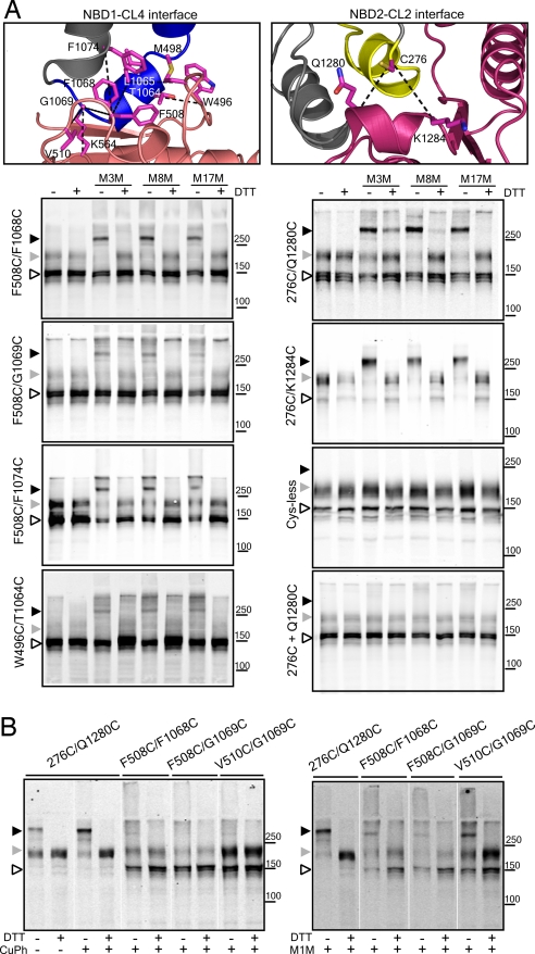 Fig. 3.