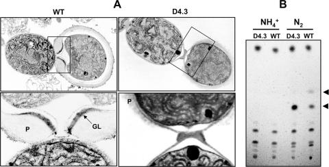 FIG. 5.